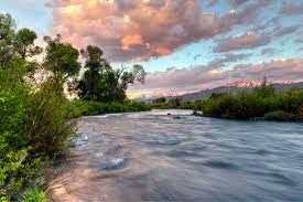 A peaceful scene of fly fishing on the Provo River, renowned for its world-class trout fishing and surrounded by beautiful landscapes.